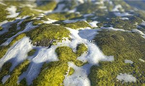 Allegorithmic Introduces Signature Series For Substance Users