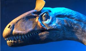 Digital Technology Looks Inside the Head of a Dinosaur