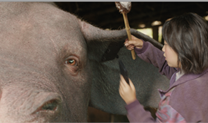 Bringing 'Okja' to Cinematic Life