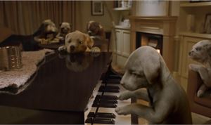Framestore Directs and Crafts VFX for Andrex's Second CG Puppy Commercial