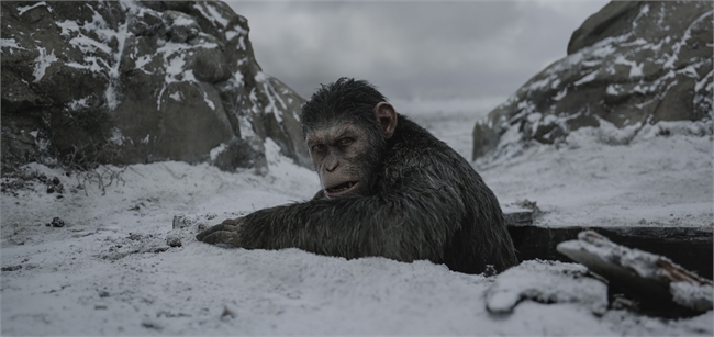 Planet of the Apes