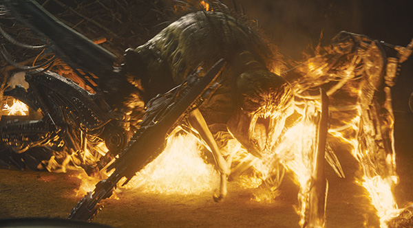 THE MAZE RUNNER: Sue Rowe - VFX Supervisor - Method Studios - The Art of VFX