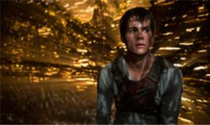 The Maze Runner