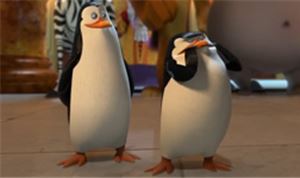 Penguins Undercover