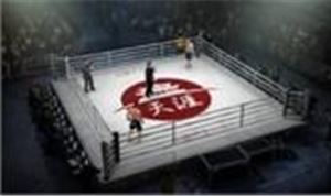 EA Sports MMA