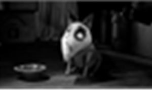 Company 3 Colors Tim Burton’s Frankenweenie with DaVinci Resolve