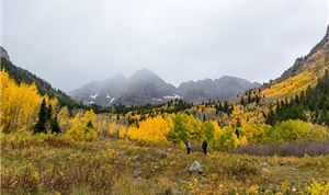 Custom Camera Rig Turns Aspen Into Ethereal VR Wonderland