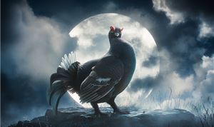 Axis Studios Completes CG Spot For Famous Grouse