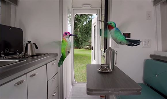 Calabash Helps Airstream Launch Nest