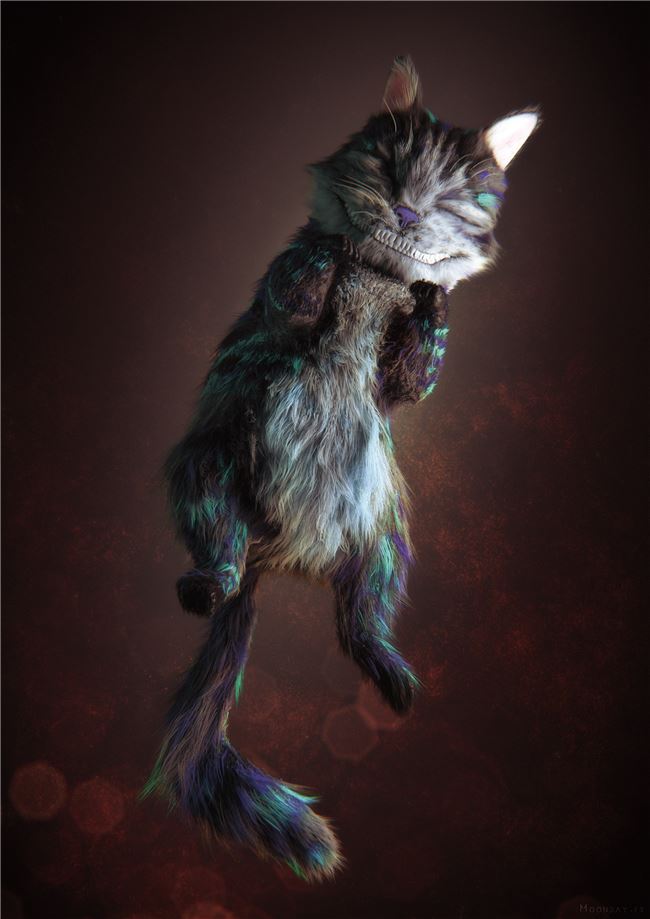 Cheschire Cat