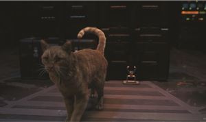 Trixter Delivers Purr-fect VFX for 'Captain Marvel'