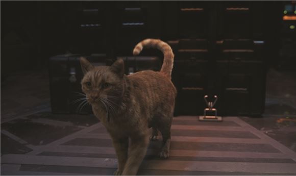 Trixter Delivers Purr-fect VFX for 'Captain Marvel'