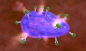 Onychomycosis (nail fungus infection) 