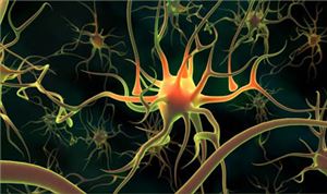 Onychomycosis (nail fungus infection) 