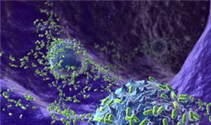 DNA 