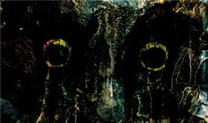 Eyes 