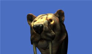 Arctic Hunter 