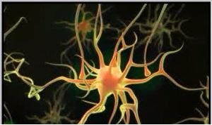 Onychomycosis (nail fungus infection) 