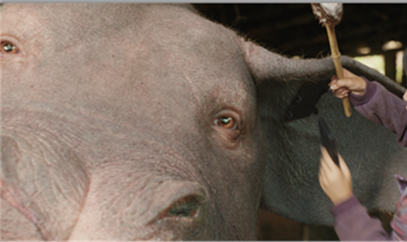 Bringing 'Okja' to Cinematic Life