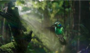 Framestore Re-creates Nature