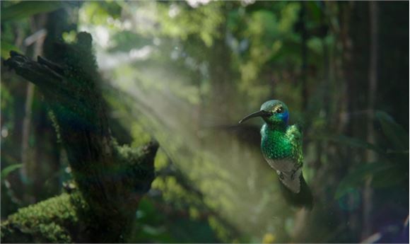 Framestore Re-creates Nature