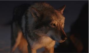 MPC Character Lab 'Goes to the Wolves'