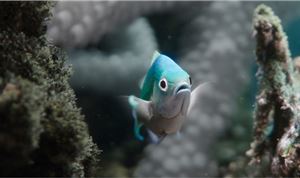 Framestore Creates Stunning CG Underwater Environment