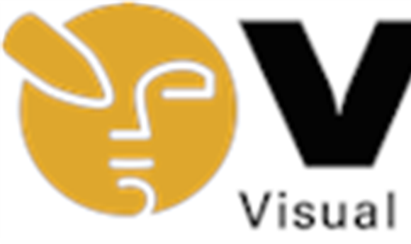 VES Reveals its 2013 Board of Directors Officers