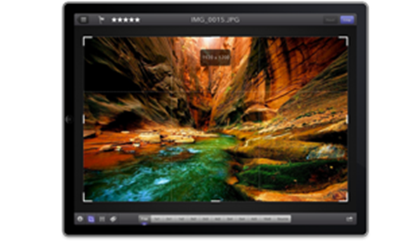 The 11ers Release Photospector App