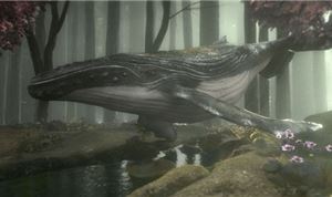 Gentleman Scholar Creates a Whale of a Spot for WDC