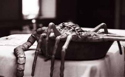 Facehugger