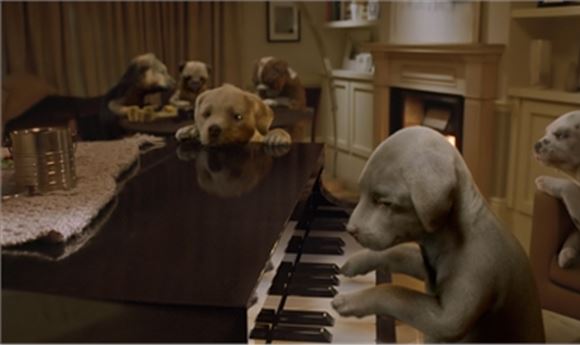 Framestore Directs and Crafts VFX for Andrex's Second CG Puppy Commercial