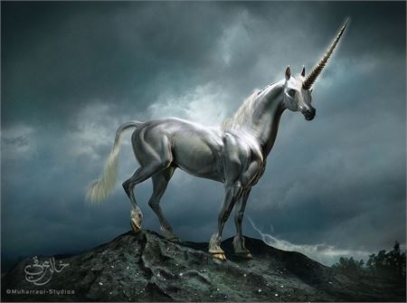 Silver Unicorn