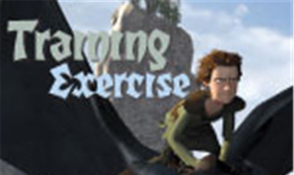 Training Exercise