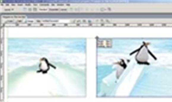 Macromedia Studio 8