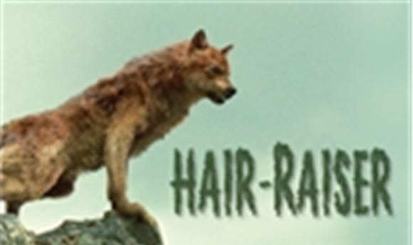 Hair-raiser