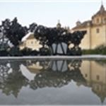 Portfolio - Dec 2009