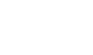 Alioscopy 3D Auto-Stereoscopic Workflow 