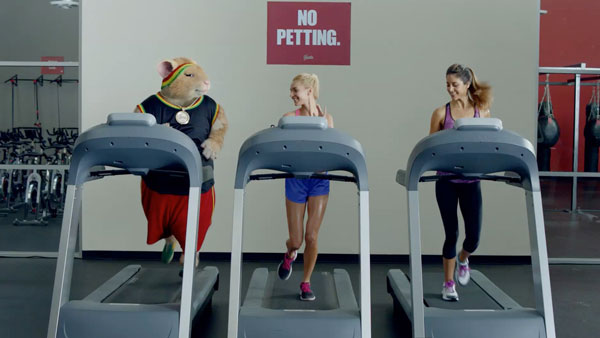 Hamster at the Gym