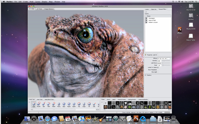 Mudbox 2009