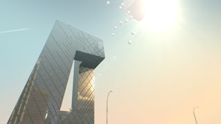 CCTV Metropolis