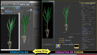 Krakatoa