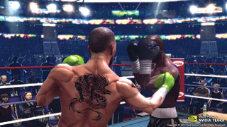 Real Boxing 2013