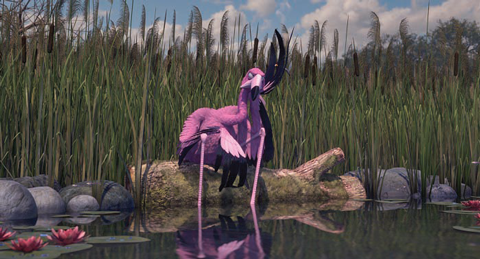 Flamingo Pride (Best Student Project Prize)